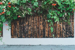 fence with flowers